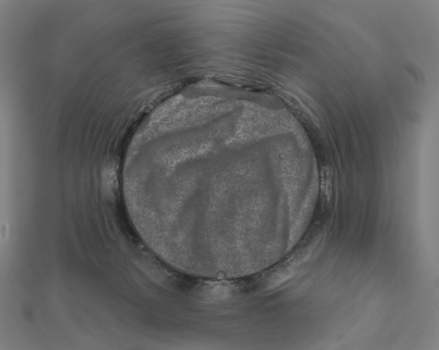 X0000111790127200908201140