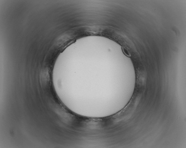 X0000111790128200908201140