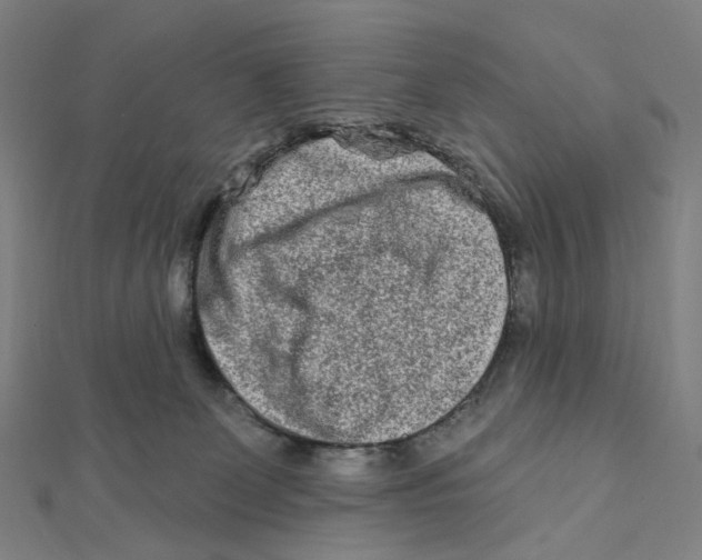 X0000111790131200908201140