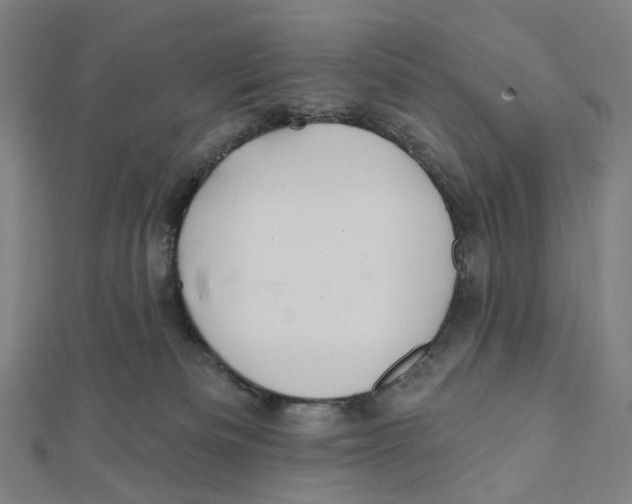 X0000111790133200908201140