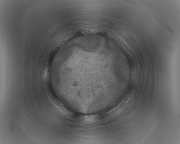 X0000111790134200908201140