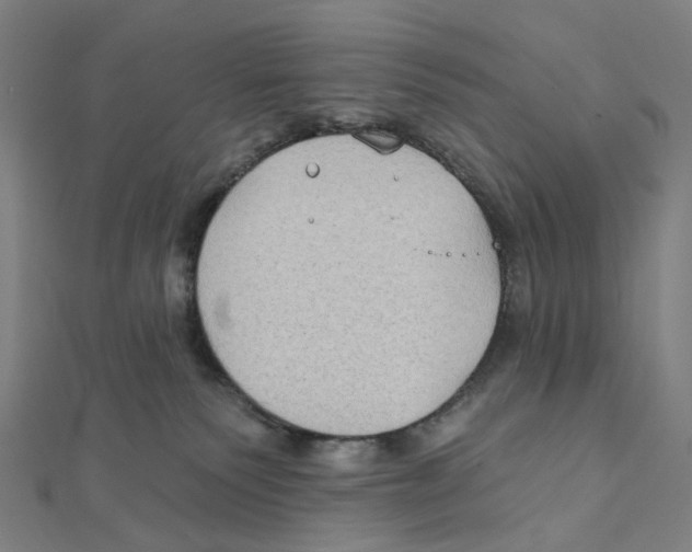 X0000111790135200908201140