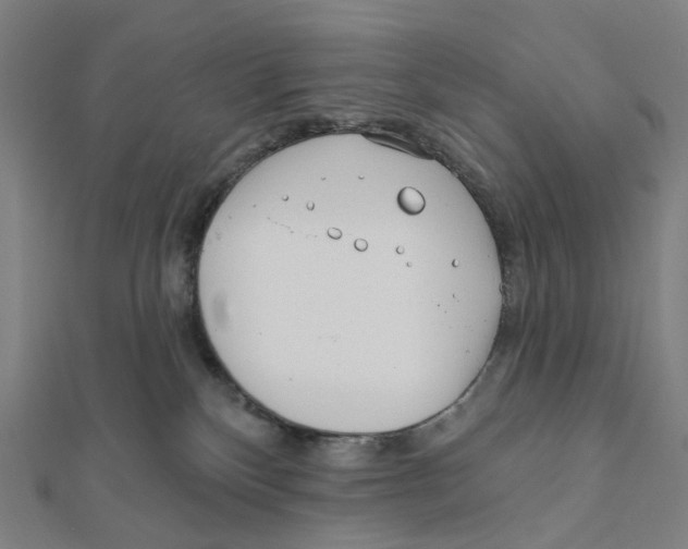 X0000111790136200908201139