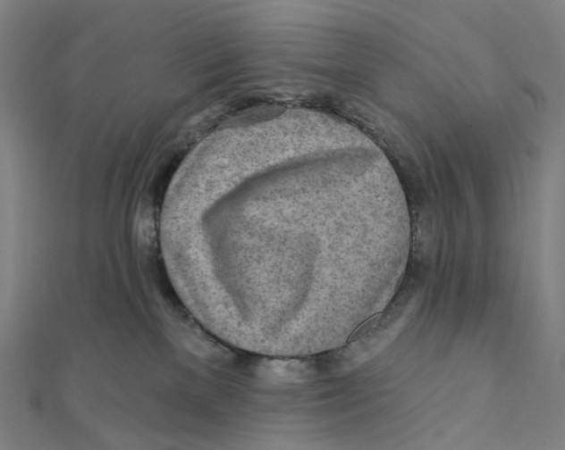 X0000111790137200908201139