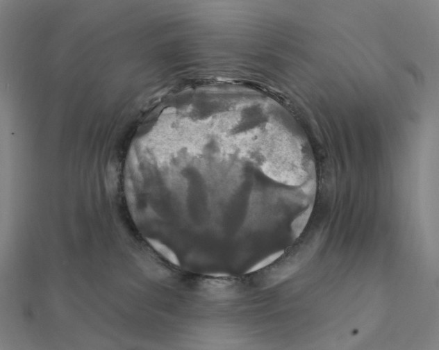 X0000111790139200908201139