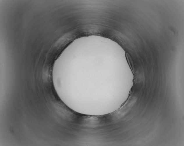 X0000111790140200908201139