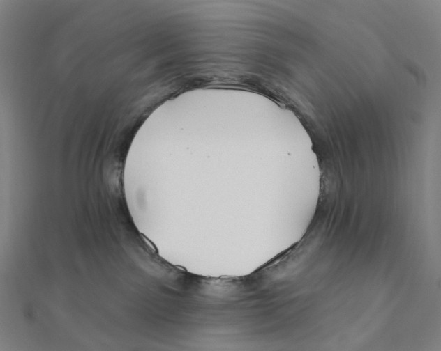 X0000111790141200908201139