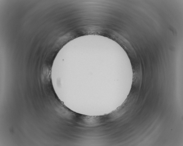 X0000111790142200908201139