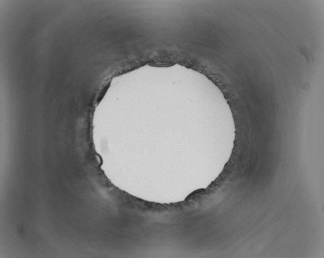 X0000111790144200908201139