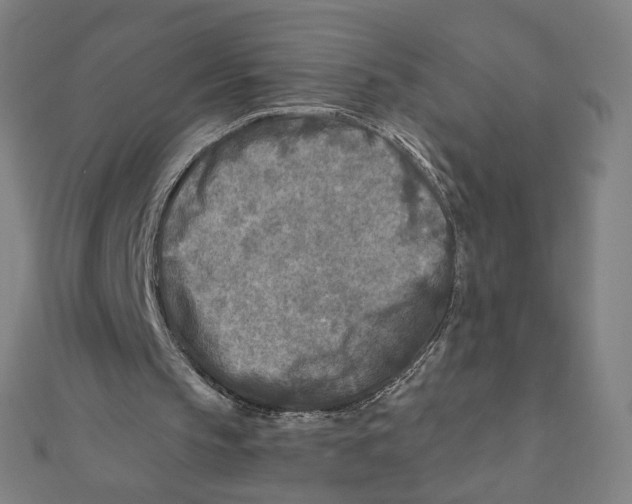 X0000111790145200908201139