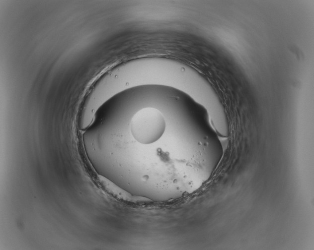 X0000111790146200908201139