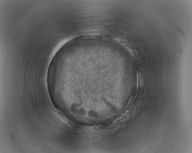 X0000111790147200908201139