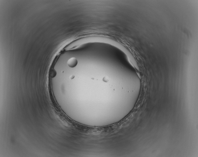 X0000111790148200908201139