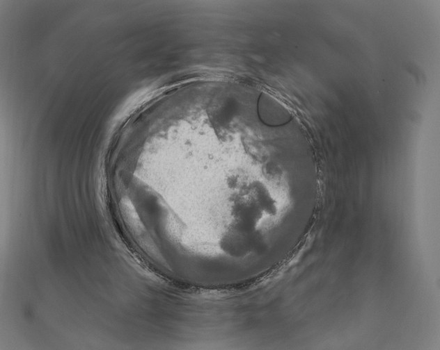 X0000111790149200908201139