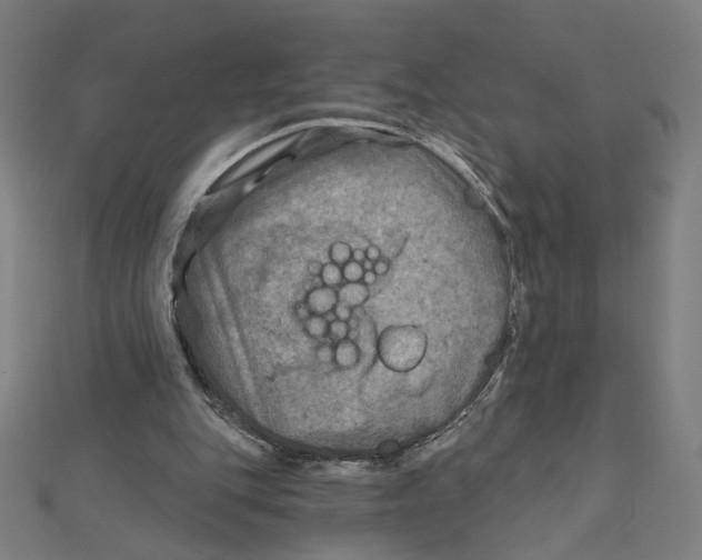 X0000111790151200908201139