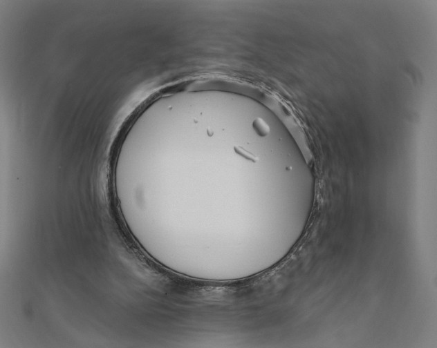 X0000111790152200908201139