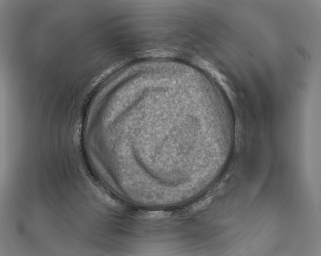 X0000111790153200908201139