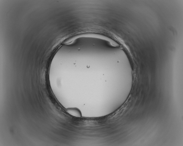 X0000111790154200908201139