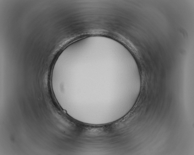 X0000111790155200908201139