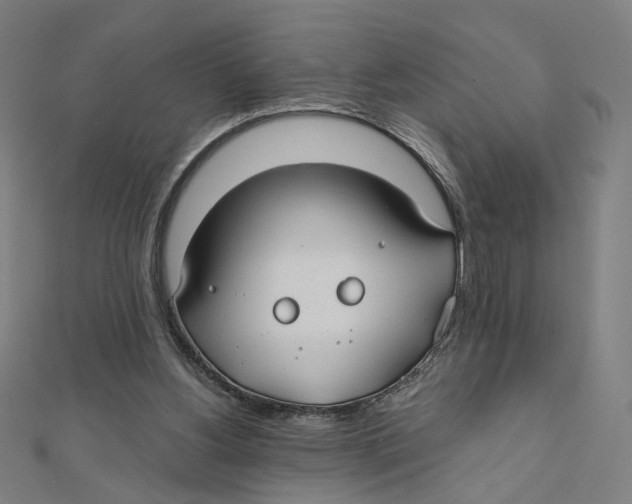 X0000111790156200908201139