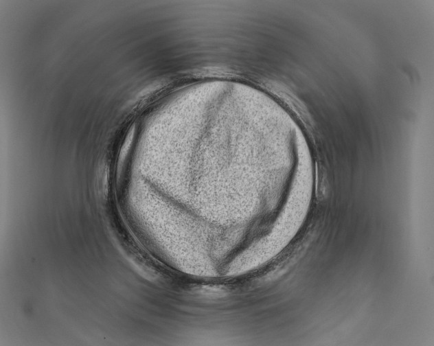 X0000111790157200908201139