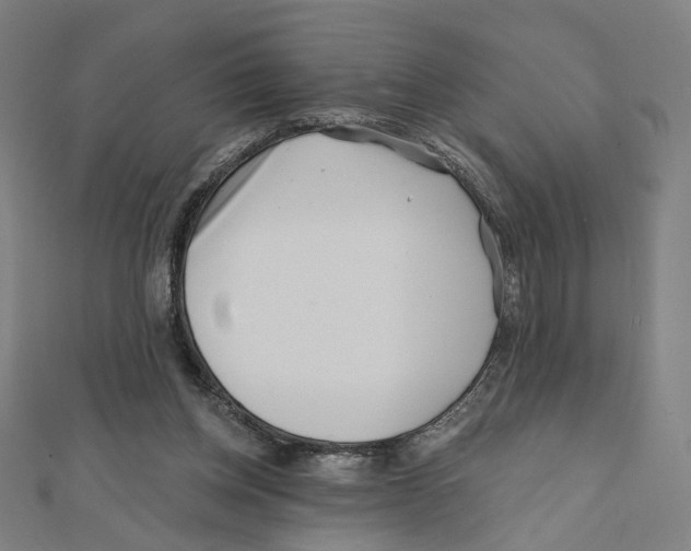 X0000111790158200908201139