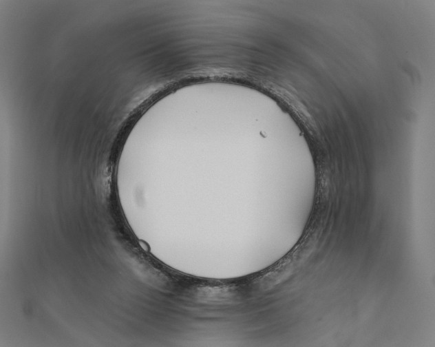 X0000111790160200908201139