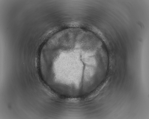 X0000111790161200908201139