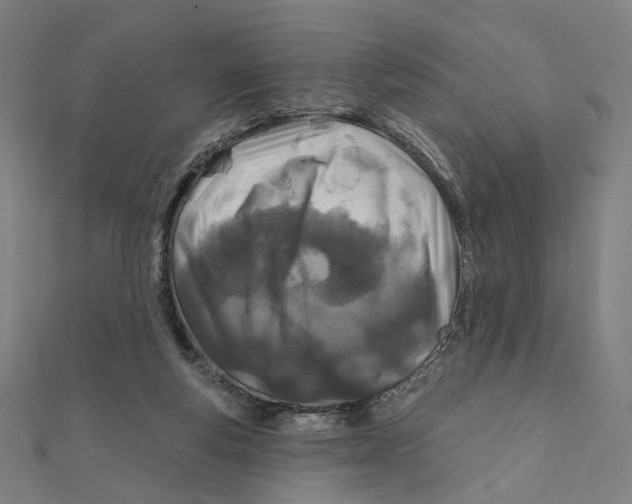 X0000111790163200908201139