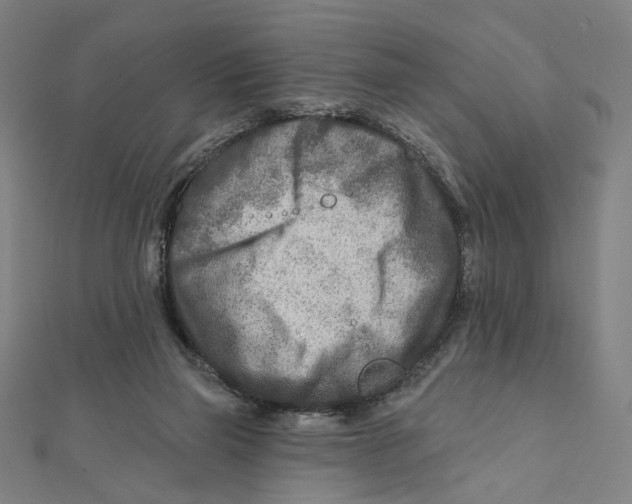 X0000111790165200908201139