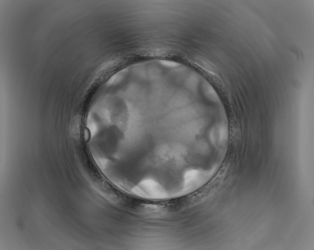 X0000111790167200908201139