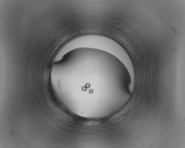 X0000111790168200908201139