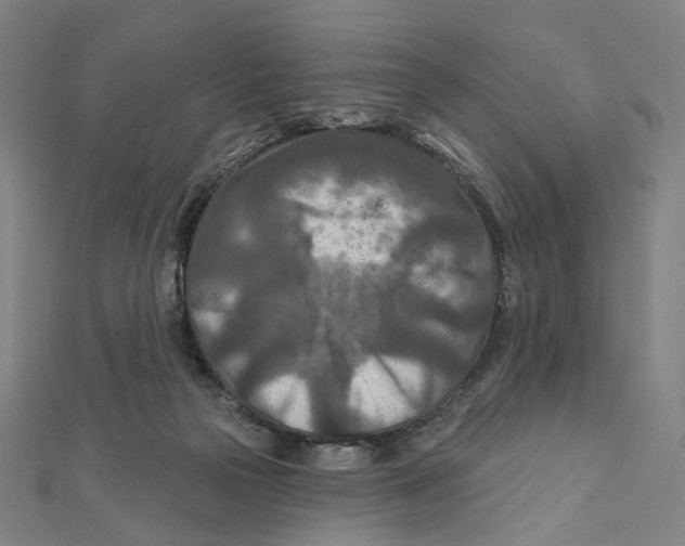 X0000111790169200908201139