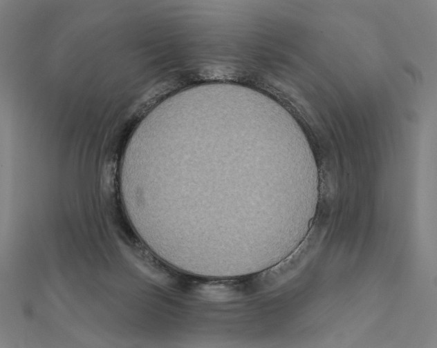 X0000111790171200908201139