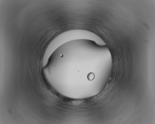 X0000111790172200908201139