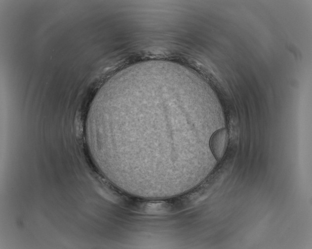 X0000111790173200908201139