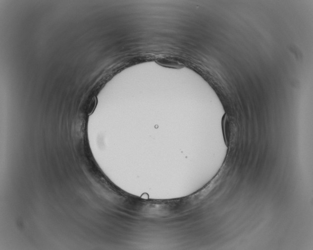 X0000111790174200908201139