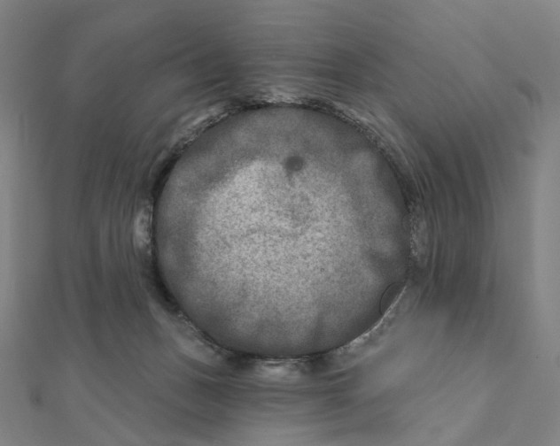 X0000111790175200908201139