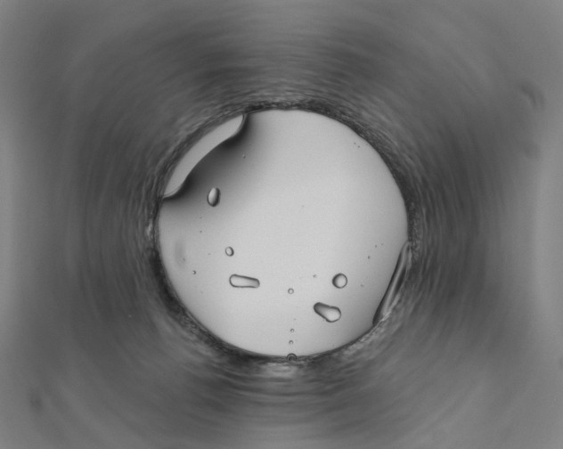 X0000111790176200908201139