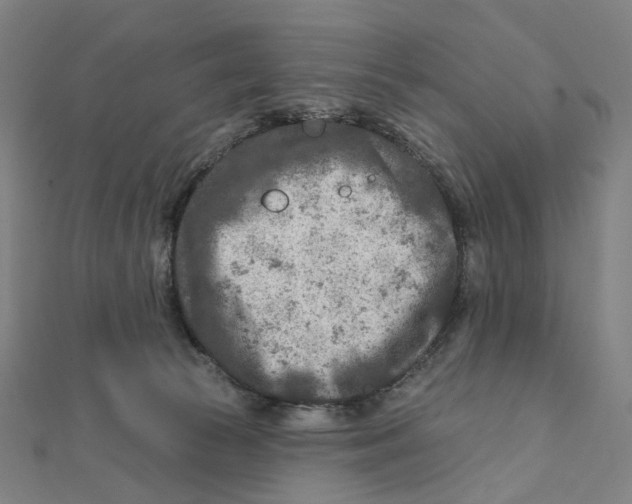 X0000111790177200908201139