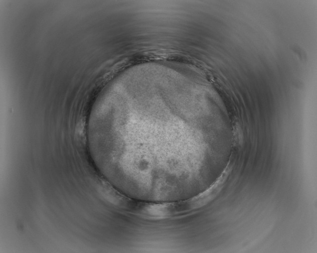 X0000111790178200908201139