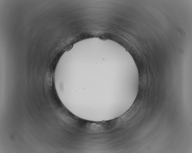 X0000111790180200908201139