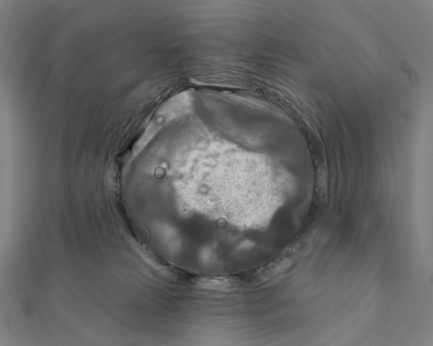 X0000111790181200908201139