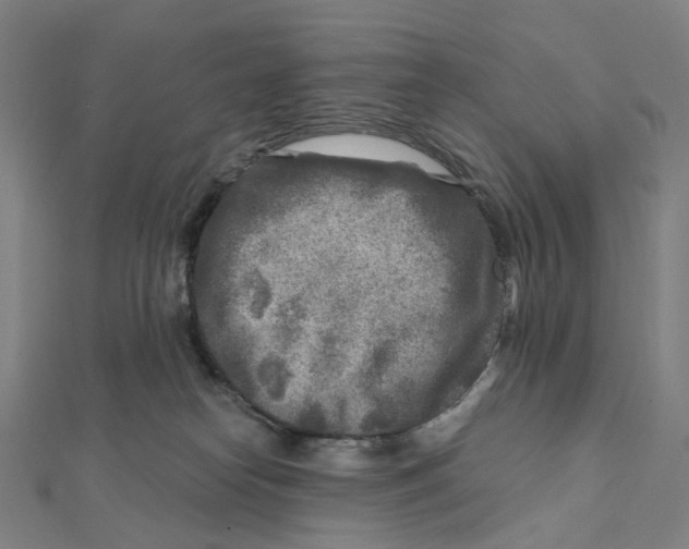 X0000111790182200908201139