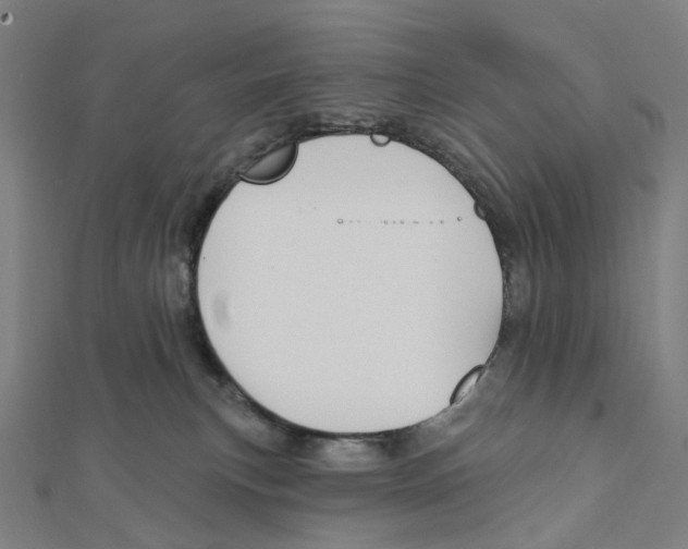 X0000111790183200908201139