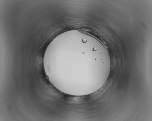 X0000111790184200908201139