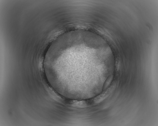 X0000111790185200908201139