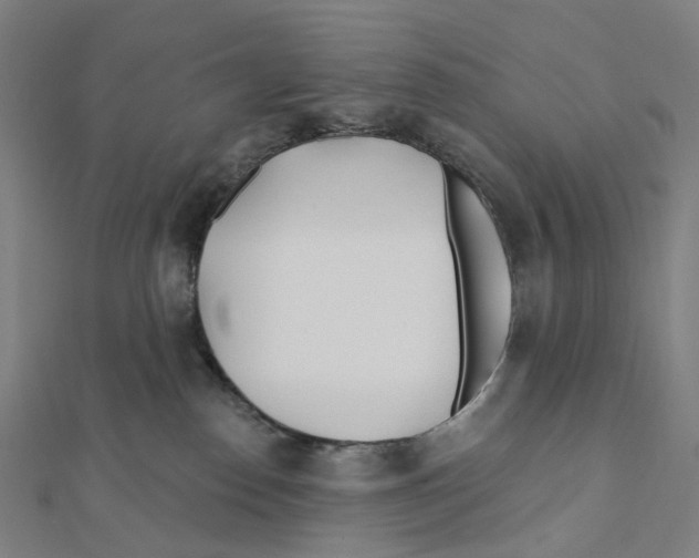 X0000111790186200908201139