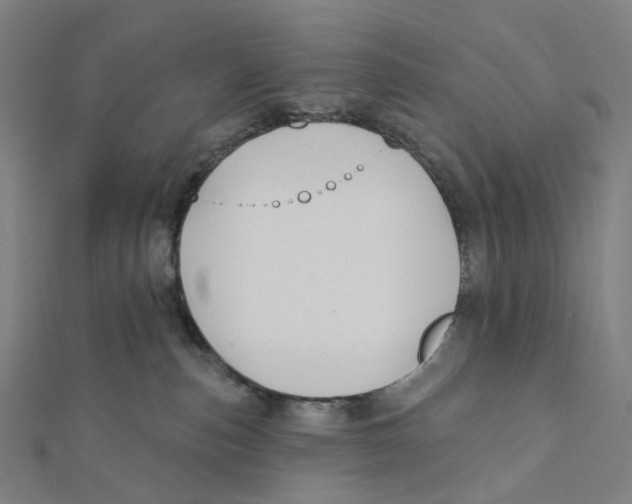 X0000111790187200908201139