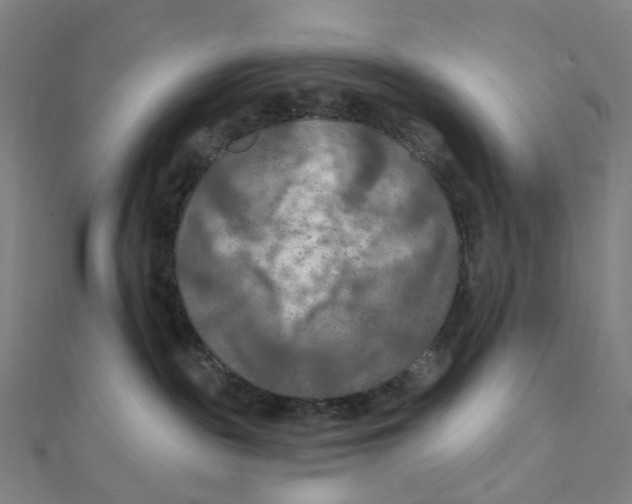 X0000111790189200908201139